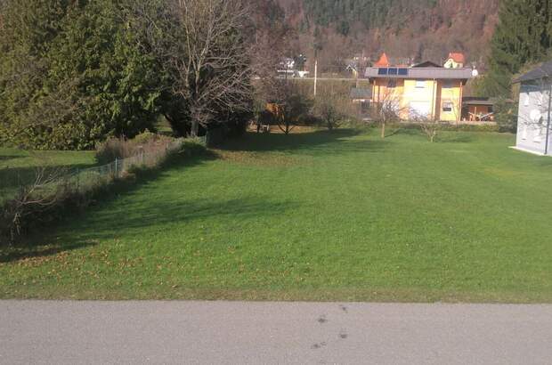 Grundstück kaufen in 9552 Steindorf (Bild 1)