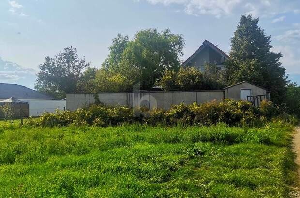 Grundstück kaufen in 7123 Mönchhof (Bild 3)