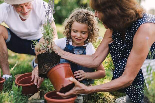Wohnung mieten in 9100 Völkermarkt (Bild 3)
