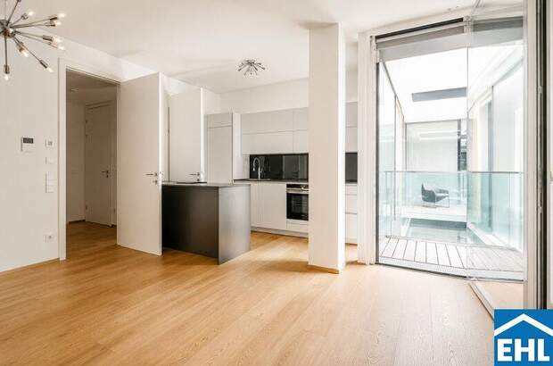 Terrassenwohnung mieten in 1030 Wien (Bild 1)