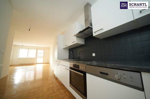 Terrassenwohnung mieten in 8045 Graz (Bild 2)