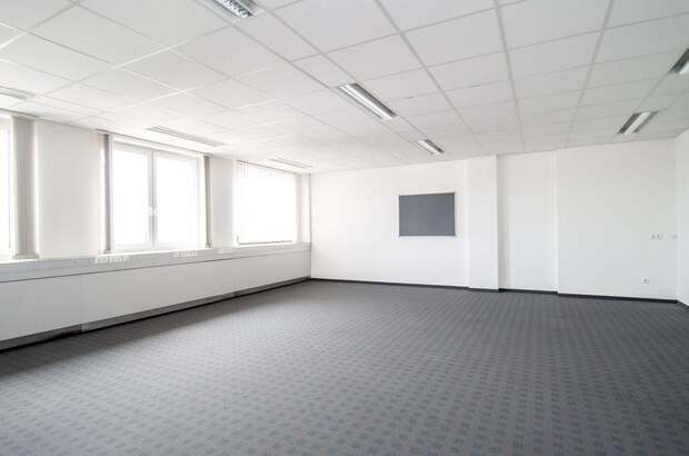 Gewerbeobjekt mieten in 4600 Thalheim (Bild 4)