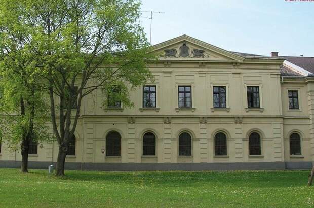 Gewerbeobjekt mieten in 4600 Wels (Bild 5)