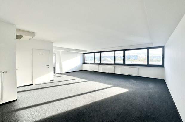 Gewerbeobjekt mieten in 1190 Wien