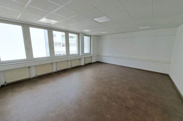 Gewerbeobjekt mieten in 3100 Sankt Pölten (Bild 5)