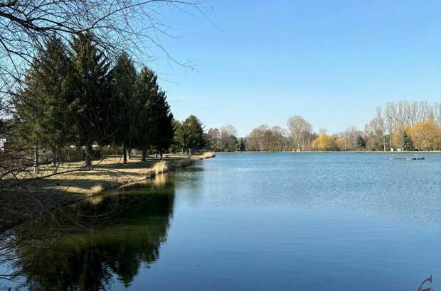 Einfamilienhaus kaufen in 7202 Bad Sauerbrunn (Bild 3)
