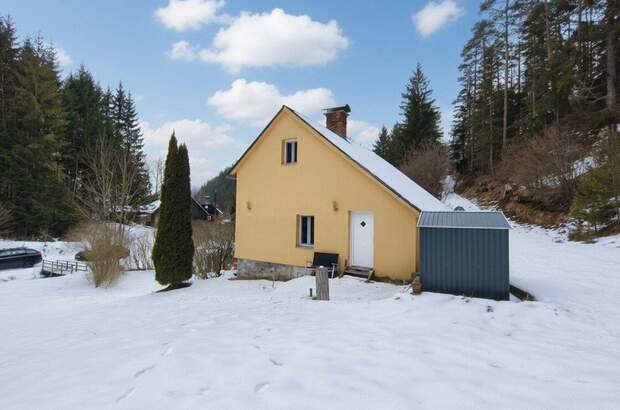 Haus mieten in 8692 Neuberg (Bild 5)