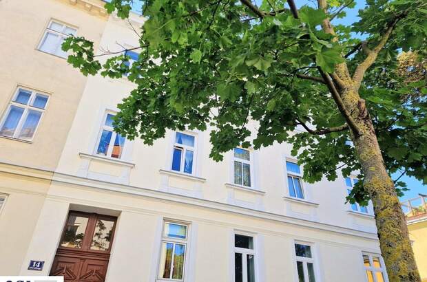 Altbauwohnung kaufen in 1130 Wien (Bild 1)