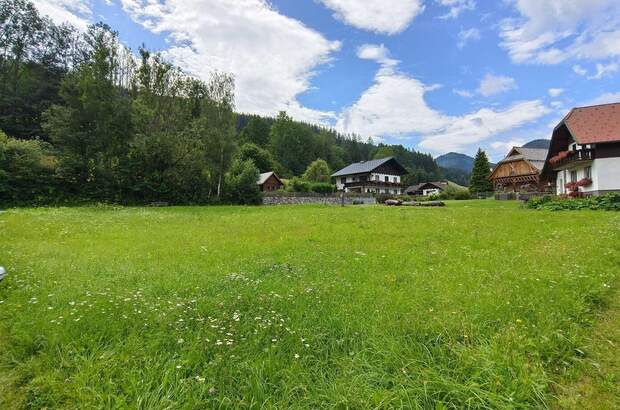 Grundstück kaufen in 8622 Etmißl (Bild 3)