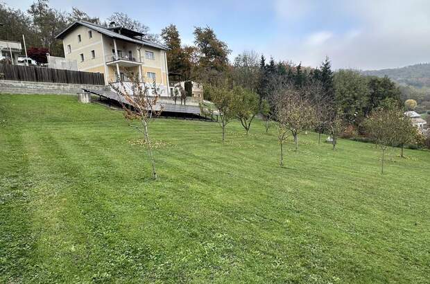 Grundstück kaufen in 4221 Steyregg (Bild 2)