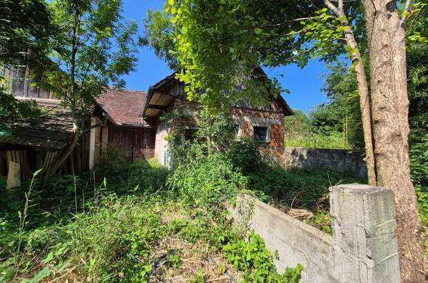 Haus kaufen in 8292 Neudau (Bild 5)