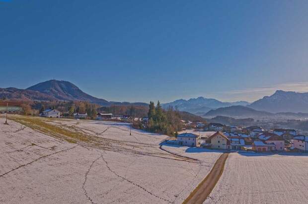 Grundstück kaufen in 5300 Hallwang (Bild 3)