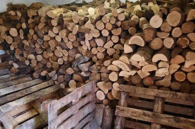 Einfamilienhaus kaufen in 2274 Rabensburg (Bild 5)