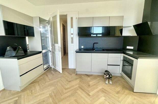 Gewerbeobjekt mieten in 1100 Wien (Bild 3)