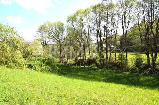 Einfamilienhaus kaufen in 4192 Schenkenfelden (Bild 5)