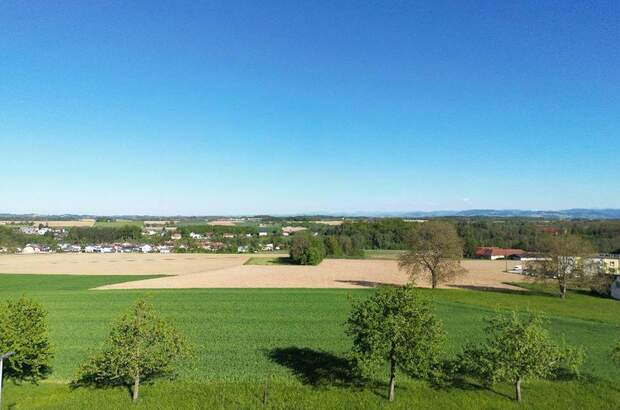 Grundstück kaufen in 4492 Hofkirchen (Bild 2)