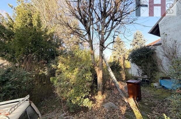 Haus kaufen in 2102 Bisamberg (Bild 5)