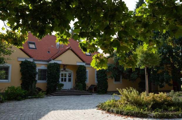 Haus kaufen in 9437 Hegyko (Bild 3)