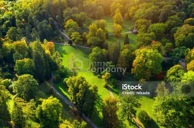 Grundstück kaufen in 8243 Pinggau (Bild 2)