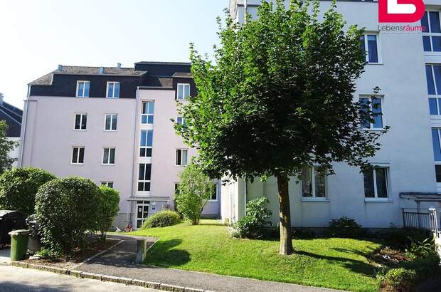 Wohnung mieten in 4209 Mittertreffling (Bild 3)