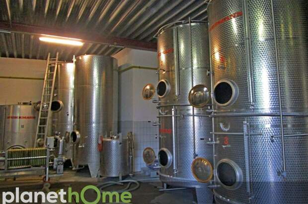 Gewerbeobjekt kaufen in 3550 Langenlois (Bild 3)