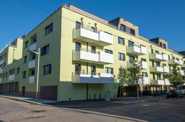 Gewerbeobjekt mieten in 1230 Wien (Bild 1)