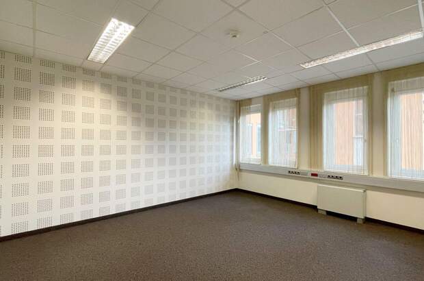 Gewerbeobjekt mieten in 8042 Graz (Bild 1)