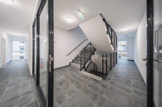 Terrassenwohnung kaufen in 1220 Wien (Bild 3)