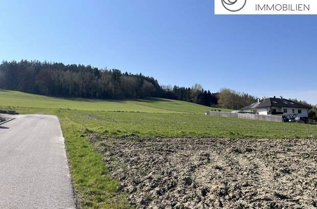 Grundstück kaufen in 4632 Pichl