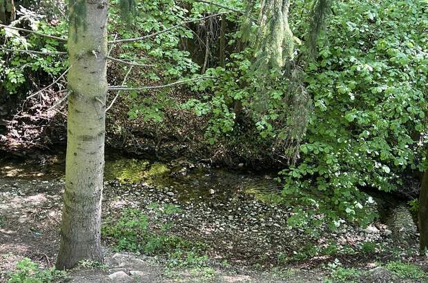 Mehrfamilienhaus kaufen in 3001 Mauerbach (Bild 3)