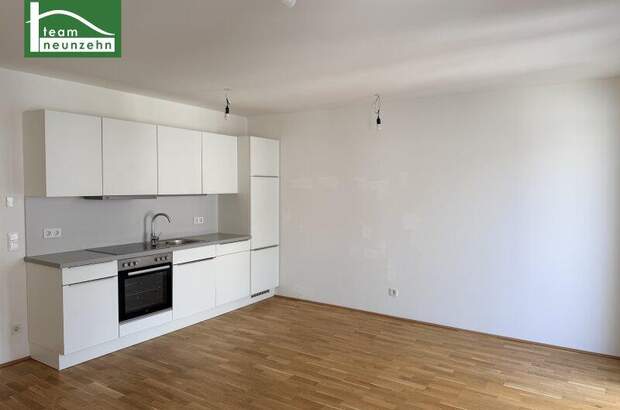 Terrassenwohnung mieten in 1160 Wien (Bild 1)