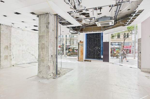 Gewerbeobjekt mieten in 1070 Wien (Bild 5)