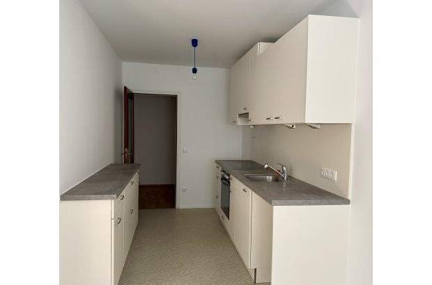 Wohnung mieten in 1130 Wien (Bild 5)