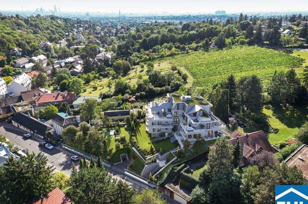 Terrassenwohnung kaufen in 1190 Wien (Bild 4)