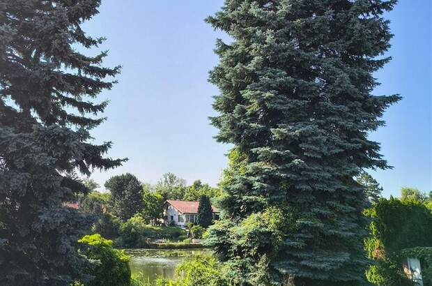 Haus kaufen in 7035 Steinbrunn (Bild 4)