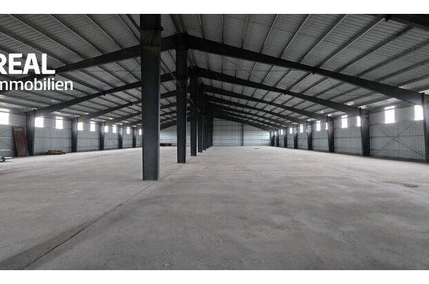 Lager kaufen in 2272 Ringelsdorf (Bild 1)