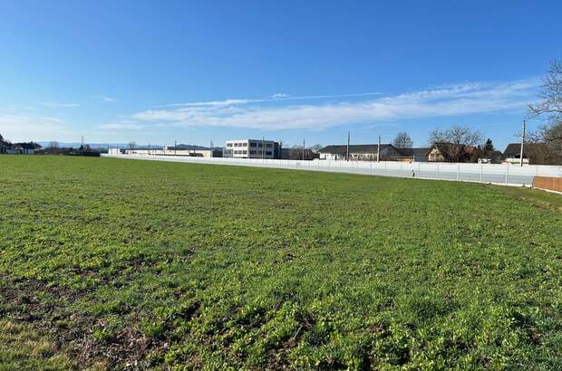 Grundstück kaufen in 8403 Lebring (Bild 4)