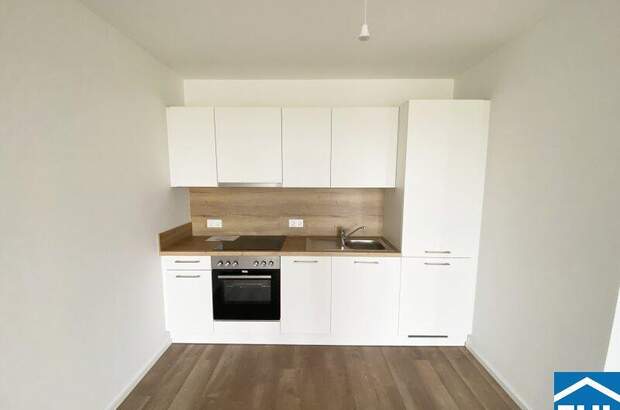 Terrassenwohnung mieten in 3451 Michelhausen (Bild 2)