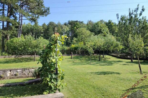Einfamilienhaus kaufen in 2632 Grafenbach (Bild 3)
