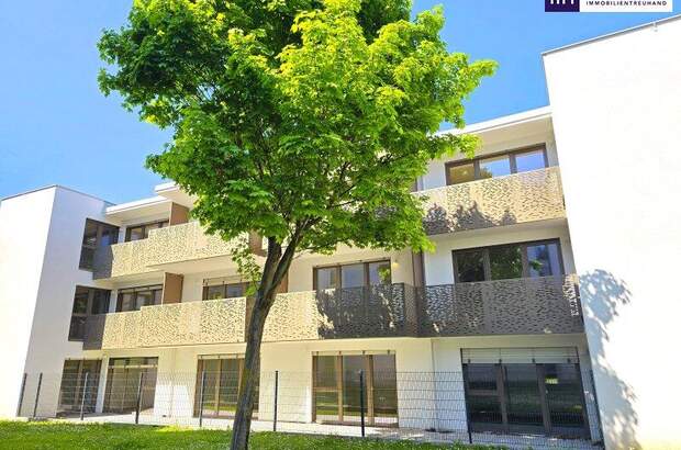 Terrassenwohnung kaufen in 1230 Wien (Bild 5)