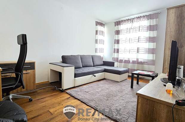 Einfamilienhaus kaufen in 3506 Hollenburg (Bild 1)