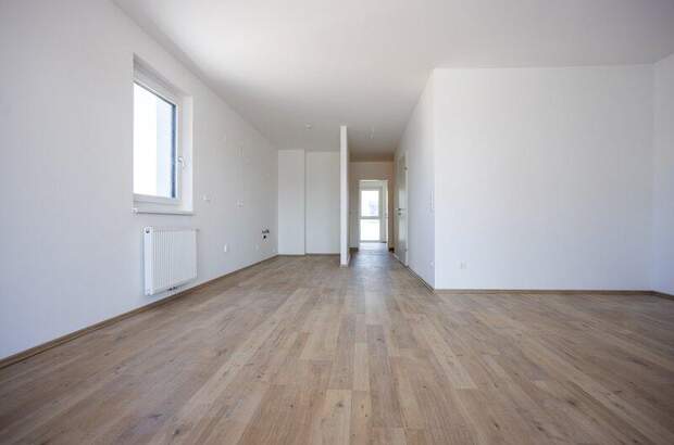 Terrassenwohnung kaufen in 2700 Wr. Neustadt (Bild 4)