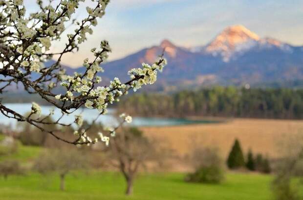 Terrassenwohnung kaufen in 9583 Faak (Bild 4)