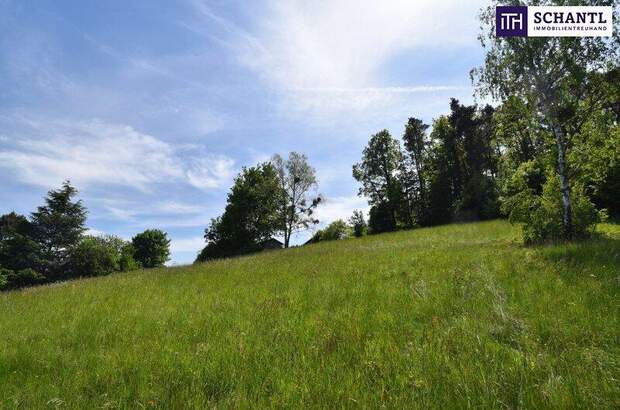 Grundstück kaufen in 8046 Graz (Bild 1)