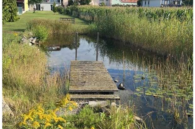 Einfamilienhaus kaufen in 3464 Hausleiten (Bild 4)