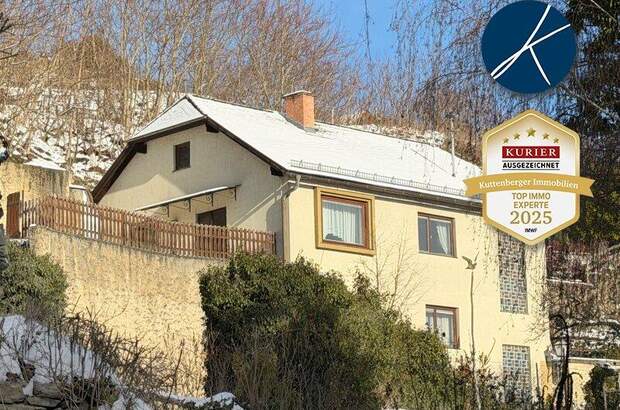 Einfamilienhaus kaufen in 3500 Krems (Bild 1)