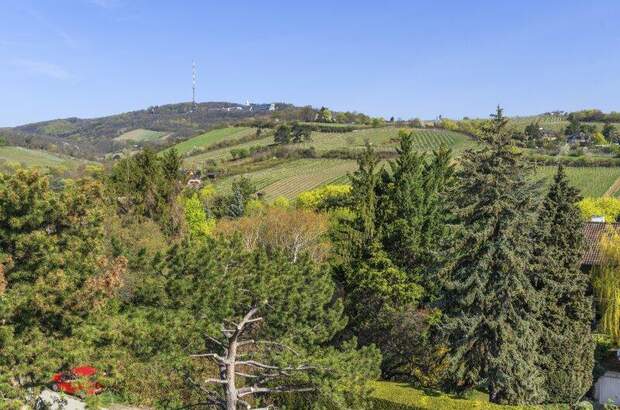 Terrassenwohnung kaufen in 1190 Wien (Bild 1)