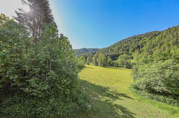 Einfamilienhaus kaufen in 6383 Erpfendorf (Bild 5)