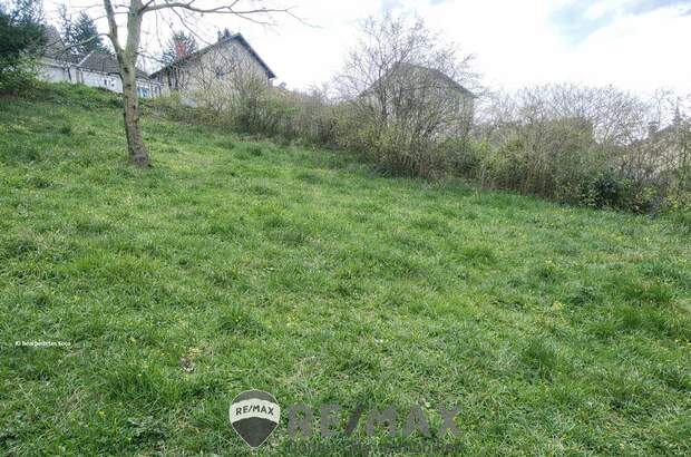 Grundstück kaufen in 3433 Königstetten (Bild 2)