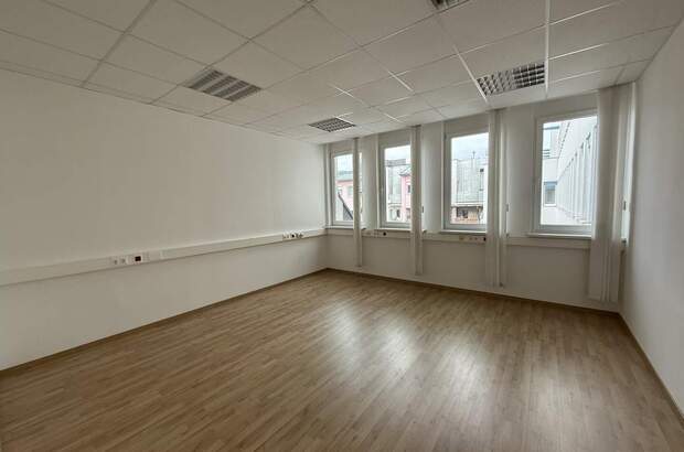 Büro / Praxis mieten in 2351 Wr. Neudorf (Bild 5)